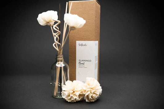 Driftwood Candle Co. Reed Diffuser Set. Two Sola flowers with two curly reeds and three reed sticks in bottle. Two additional sola flowers lying down between bottle and packaging. Set on a black backdrop for mood.